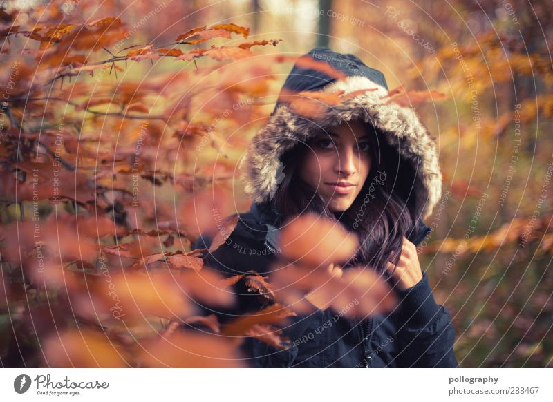 Es herbstet sehr (1) Mensch feminin Junge Frau Jugendliche Erwachsene Leben 18-30 Jahre Natur Landschaft Pflanze Herbst Schönes Wetter Baum Sträucher Blatt