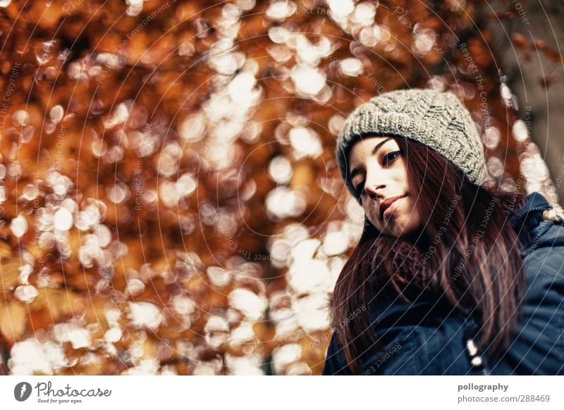 Es herbstet sehr (2) Mensch feminin Junge Frau Jugendliche Erwachsene Leben 1 18-30 Jahre Natur Landschaft Pflanze Herbst Schönes Wetter Baum Jacke Mütze