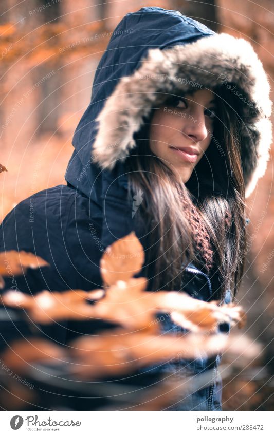 Es herbstet sehr (3) Mensch feminin Junge Frau Jugendliche Erwachsene Leben 1 18-30 Jahre Natur Landschaft Pflanze Schönes Wetter Baum Sträucher Blatt Wald