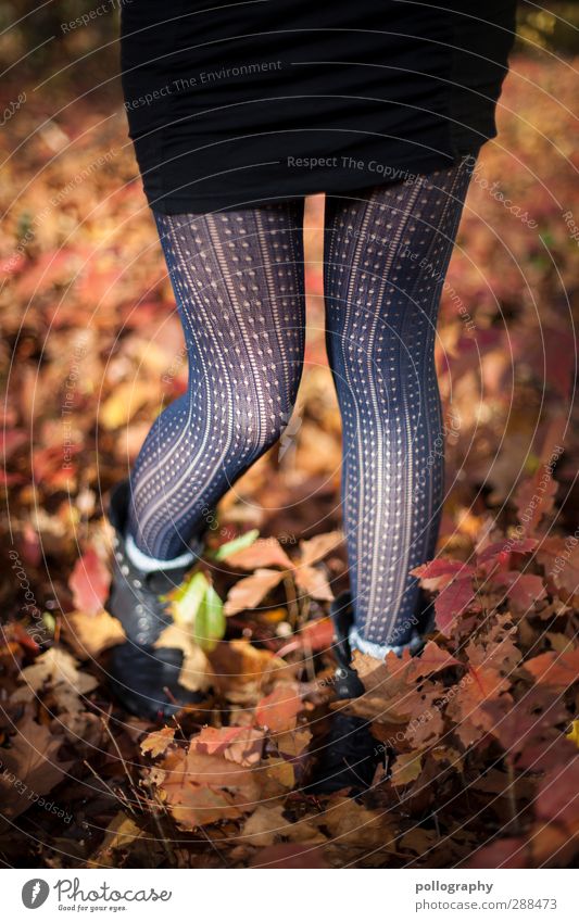 Es herbstet sehr (4) Mensch Junge Frau Jugendliche Erwachsene Beine 1 18-30 Jahre Natur Pflanze Herbst Schönes Wetter Sträucher Blatt Wald Kleid Strumpfhose