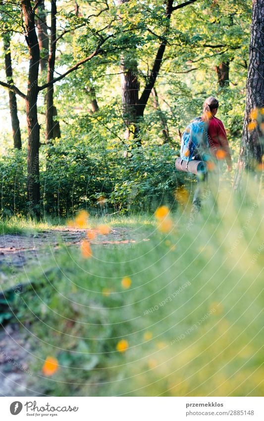 Wanderin mit Rucksack beim Waldwandern während der Sommerreise Lifestyle schön Erholung Freizeit & Hobby Ferien & Urlaub & Reisen Abenteuer Freiheit Mensch Frau