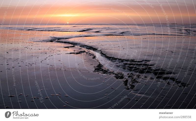 Sonnenuntergang im Wattenmeer Umwelt Landschaft Sand Wasser Himmel Horizont Sonnenaufgang Schönes Wetter Küste Nordsee Meer ästhetisch gelb rot Stimmung ruhig