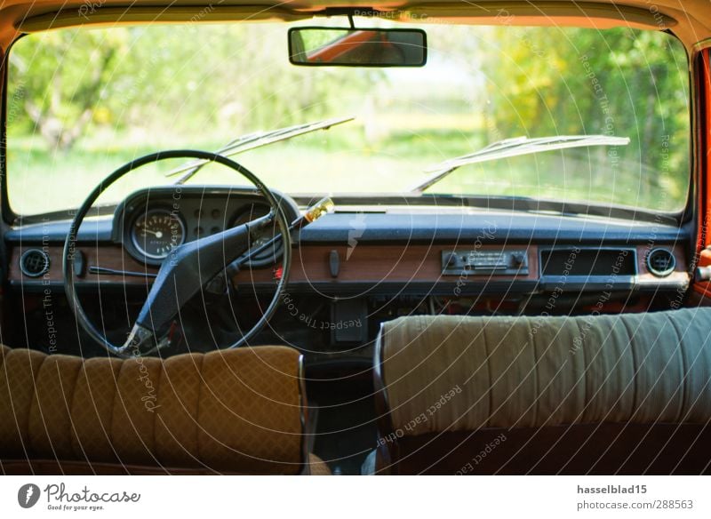 Wartburg Cockpit-View Kunst Rockabilly Frühling Sommer Wiese Fahrzeug PKW Oldtimer Rost alt genießen warten rot Tourist Youngtimer DDR Osten Deutschland Patina