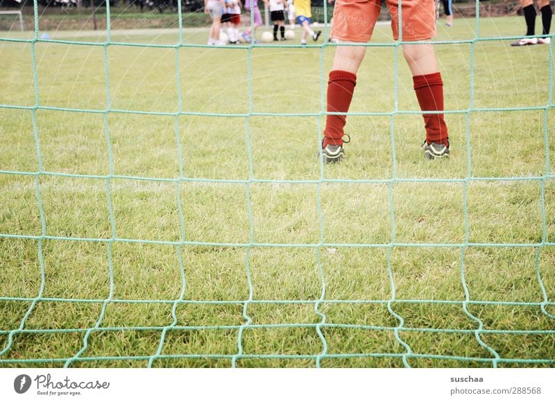 sie steht im tor - im tor - im tor ... Spielen Sport Sportmannschaft Torwart Fußballplatz maskulin androgyn Kind Mädchen Kindheit Kindergruppe stehen grün Netz