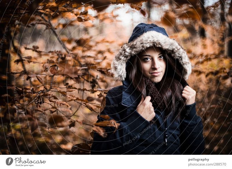 Es herbstet sehr (6) Mensch feminin Junge Frau Jugendliche Erwachsene 1 18-30 Jahre Natur Landschaft Pflanze Herbst Schönes Wetter Wald Jacke Kapuzenjacke