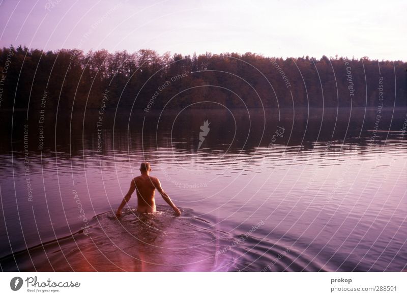 Welle machen Mensch maskulin Junger Mann Jugendliche Erwachsene Umwelt Natur Landschaft Pflanze Wasser Himmel Schönes Wetter Baum Wald Seeufer Teich frieren