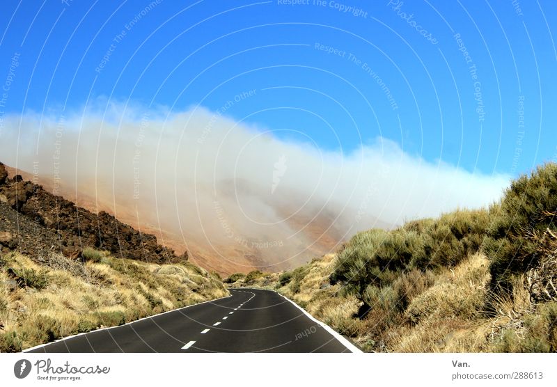 Road Trip Landschaft Himmel Wolken Pflanze Gras Sträucher Hügel Felsen Straße fahren blau grün Farbfoto mehrfarbig Außenaufnahme Menschenleer Textfreiraum oben