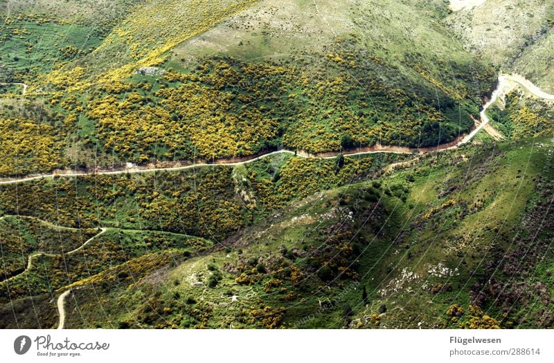 My Way Sommerurlaub Berge u. Gebirge wandern Umwelt Natur Landschaft Klima Klimawandel Pflanze Baum Blume Gras Sträucher Moos Wiese Feld Wald Hügel Felsen