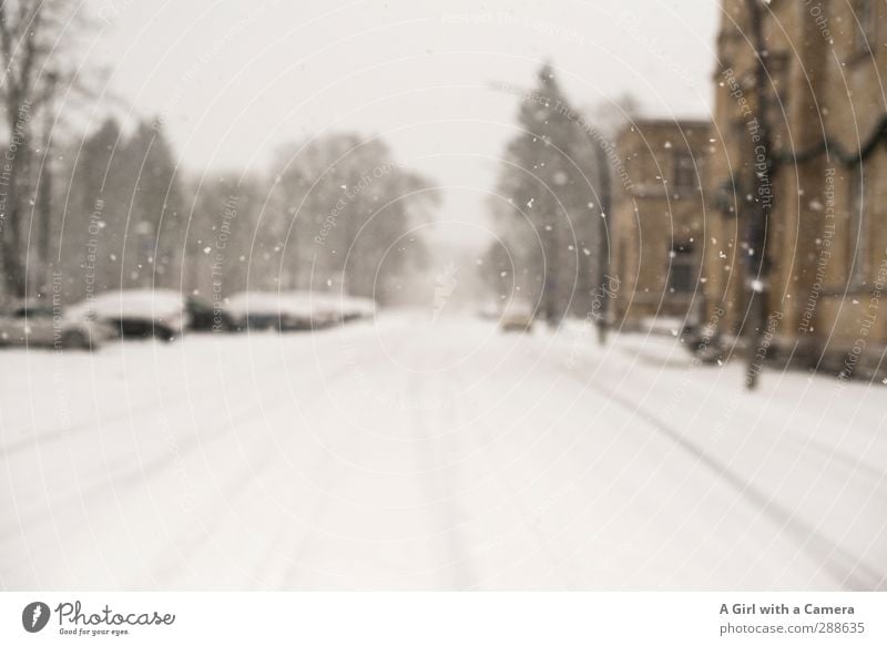 winter's here Urelemente Winter Wetter schlechtes Wetter Schnee Schneefall Straße Fahrzeug PKW kalt Schneedecke Gedeckte Farben Außenaufnahme Unschärfe