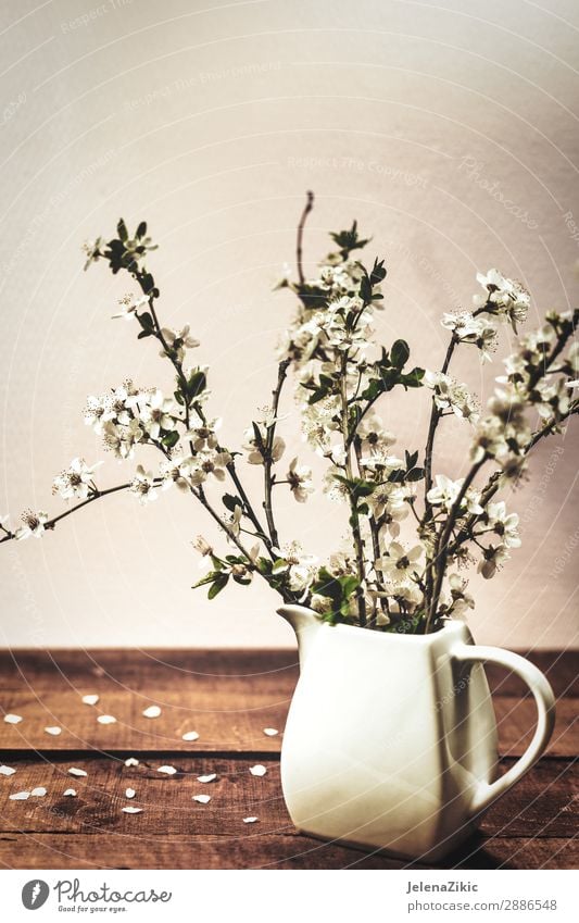 Vintage Frühling blumiger Hintergrund Stil Design schön Duft Innenarchitektur Dekoration & Verzierung Tisch Kunst Natur Pflanze Baum Blume Blüte Blumenstrauß