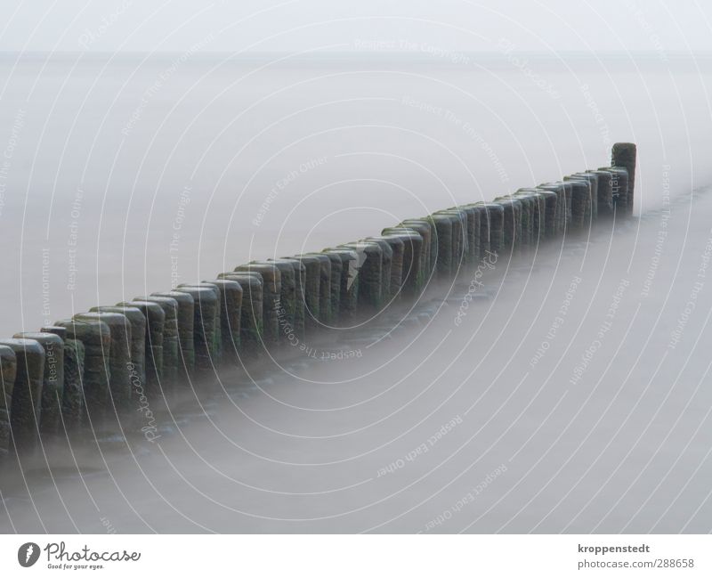 Wellenbrecher Natur Landschaft Luft Wasser Himmel Herbst Küste Ostsee Insel Usedom Bauwerk Mauer Wand Holz Unendlichkeit ruhig weich Gedeckte Farben