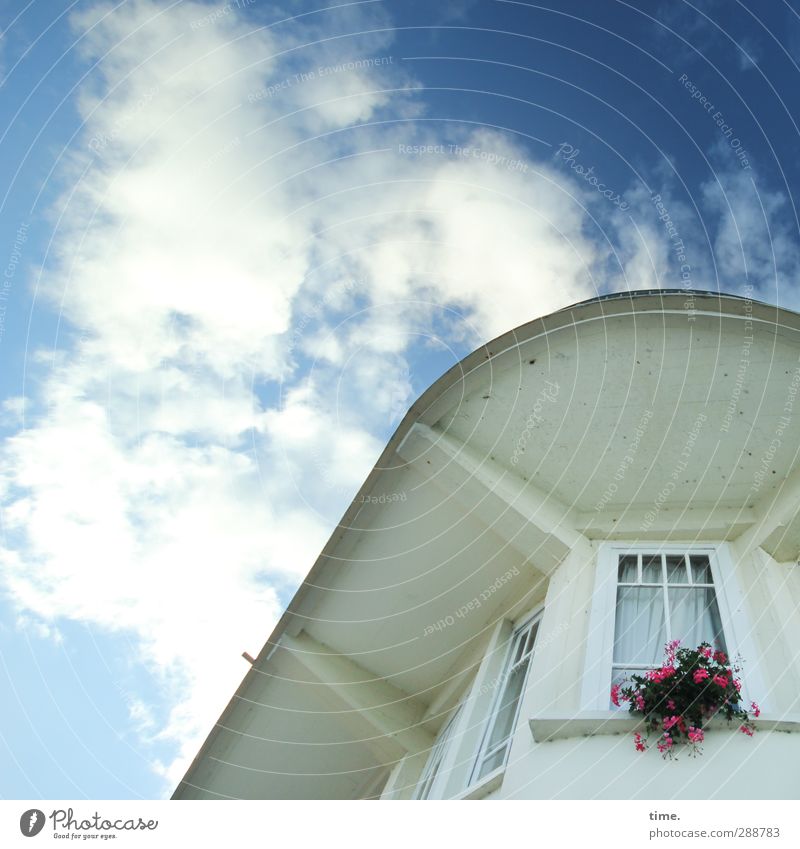 Vorzimmerdamen Himmel Wolken Schönes Wetter Pflanze Blume Pelargonie Haus Bauwerk Gebäude Architektur Fassade Fenster dachüberstand fenstersprosse Gardine Duft