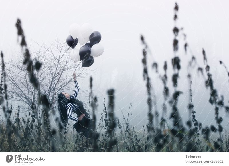 schwarz weiß Mensch feminin Frau Erwachsene 1 Kunst Subkultur Rockabilly Umwelt Natur Landschaft Himmel Horizont Herbst Klima Wetter Nebel Pflanze Gras