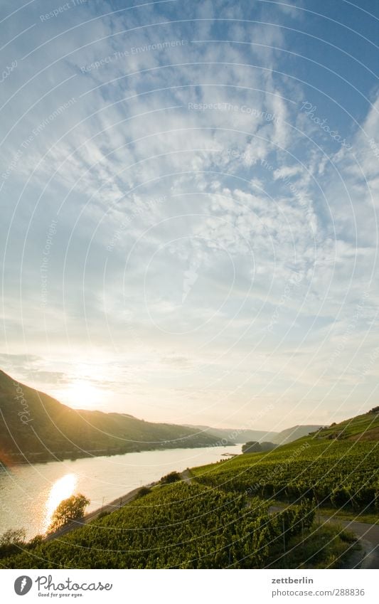 Rhein Ferien & Urlaub & Reisen Umwelt Natur Landschaft Pflanze Wasser Sommer Klima Klimawandel Wetter Schönes Wetter Wiese Feld Hügel Berge u. Gebirge Flussufer