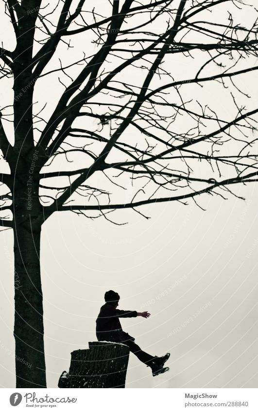 Ich bin ein Baum. Traumbaum. Kindheit Jugendliche 1 Mensch genießen Natur Silhouette Mädchen Arme Baumstamm Ast Himmel harmonisch Traurigkeit Naturliebe Gruß