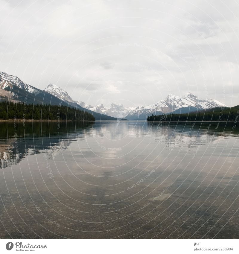 Maligne Lake harmonisch Erholung ruhig Tourismus Ferne Sommer Berge u. Gebirge wandern Natur Landschaft Wasser Wolken schlechtes Wetter Wald Felsen Gipfel