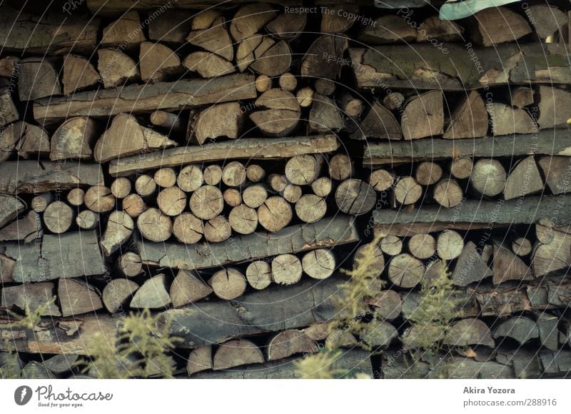 Stapelhölzchen Holz Natur Ast Kreis Linie Sammlung Lager Vorrat