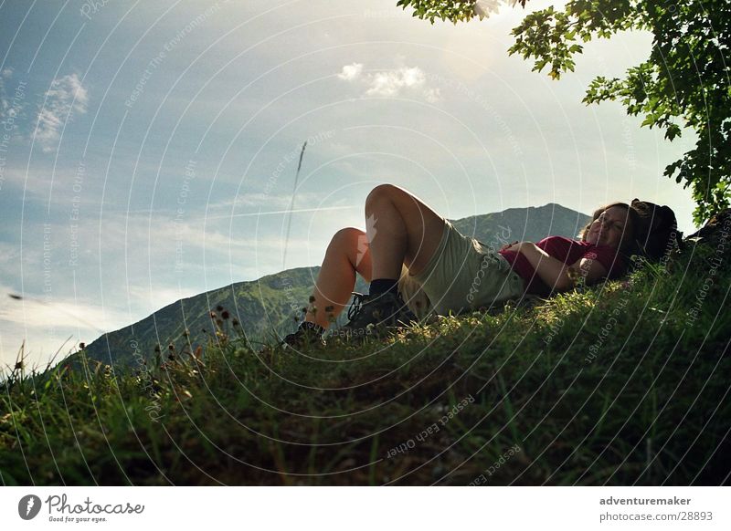 Lila Pause Alm Sommer Österreich Europa Spielen Bergsteigen Berge u. Gebirge Milka Alpen Himmel