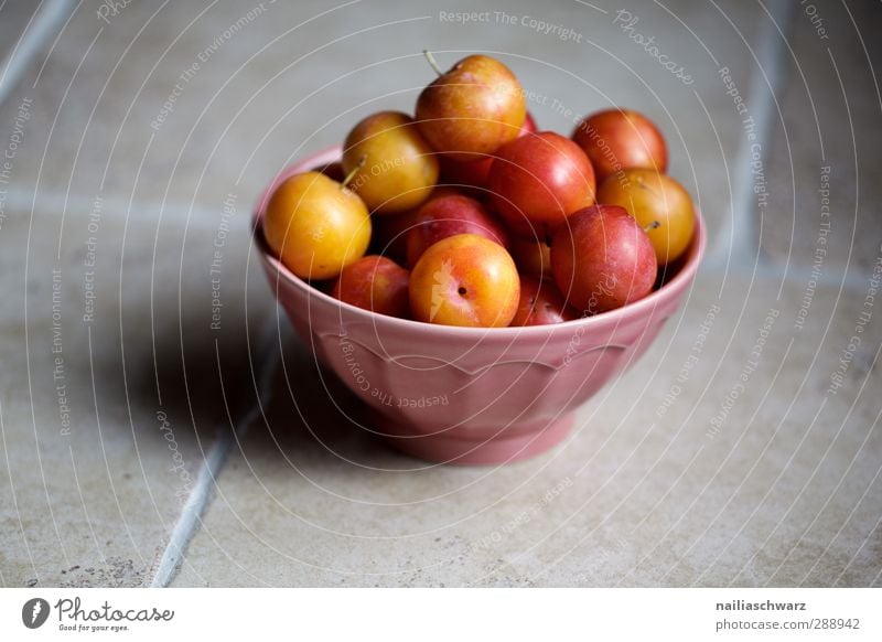 Pflaume Lebensmittel Frucht Dessert Marmelade gelbe pflaume Ernährung Bioprodukte Vegetarische Ernährung Diät Schalen & Schüsseln Becher Duft füttern genießen