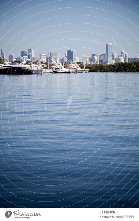 Crockett & Tubbs. XXXXIV Ferien & Urlaub & Reisen Tourismus Ausflug Sommer Sommerurlaub Umwelt Wasser Schönes Wetter Küste Miami Florida USA Skyline Hochhaus