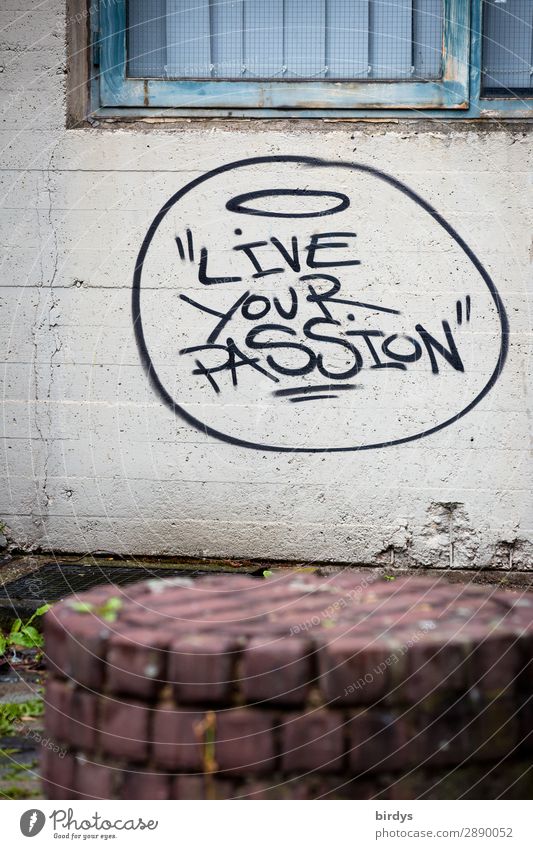 führt zu Erfolg Beruf Karriere Mauer Wand Schriftzeichen Graffiti Liebe träumen Wachstum authentisch einzigartig nachhaltig positiv blau grau rot schwarz