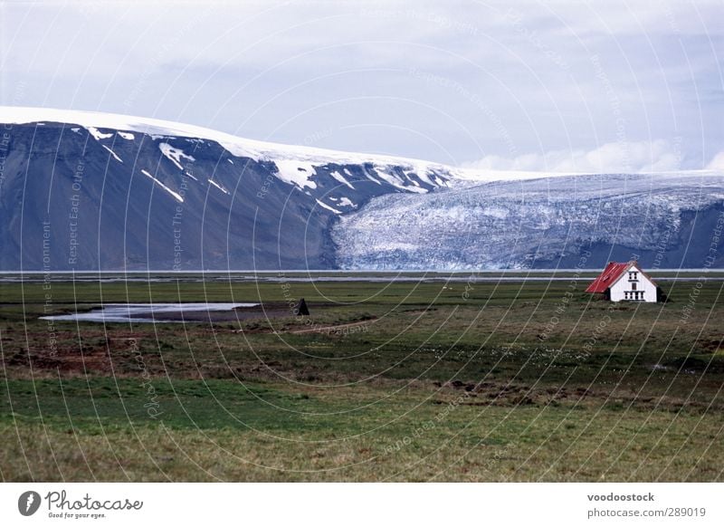 Isoliertes Haus in Island Schnee Berge u. Gebirge Umwelt Natur Landschaft Gras Wiese Schneebedeckte Gipfel Gletscher Hütte Gebäude Dach alt historisch natürlich