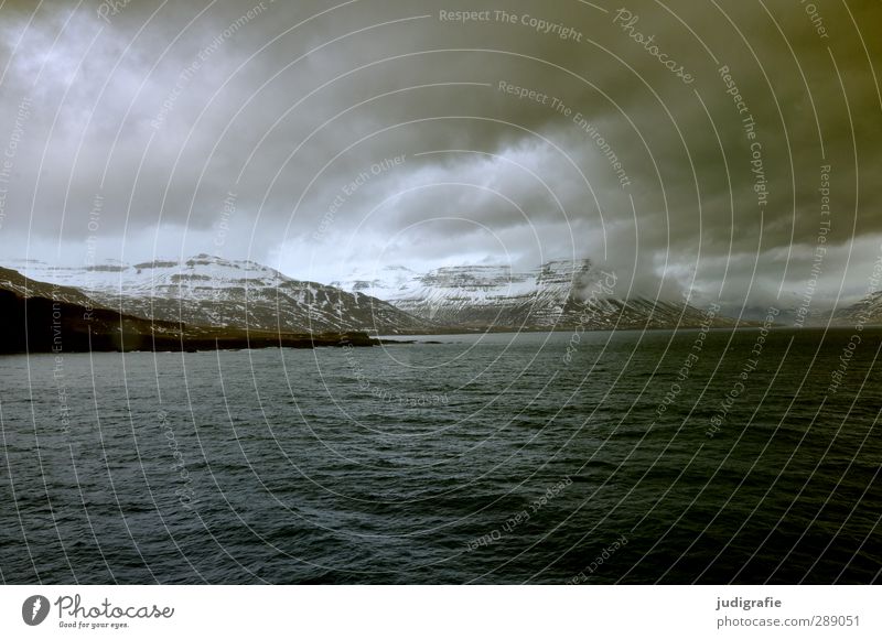 Island Umwelt Natur Landschaft Urelemente Wasser Himmel Wolken Klima schlechtes Wetter Schnee Felsen Berge u. Gebirge Schneebedeckte Gipfel Wellen Küste Fjord