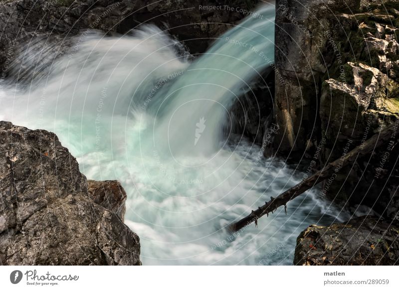 flow Natur Landschaft Wasser Wassertropfen Herbst Baum Moos Felsen Alpen Schlucht Küste Flussufer Mauer Wand dunkel blau braun grau Baumstamm fließen Gischt