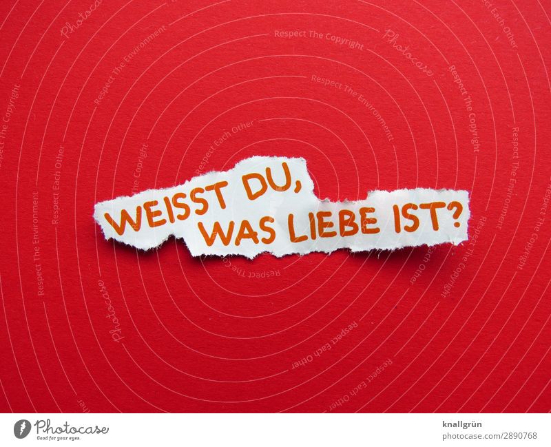 WEISST DU, WAS LIEBE IST? Schriftzeichen Schilder & Markierungen Kommunizieren rot weiß Gefühle Liebe Neugier Interesse Irritation Wissen Fragen Farbfoto