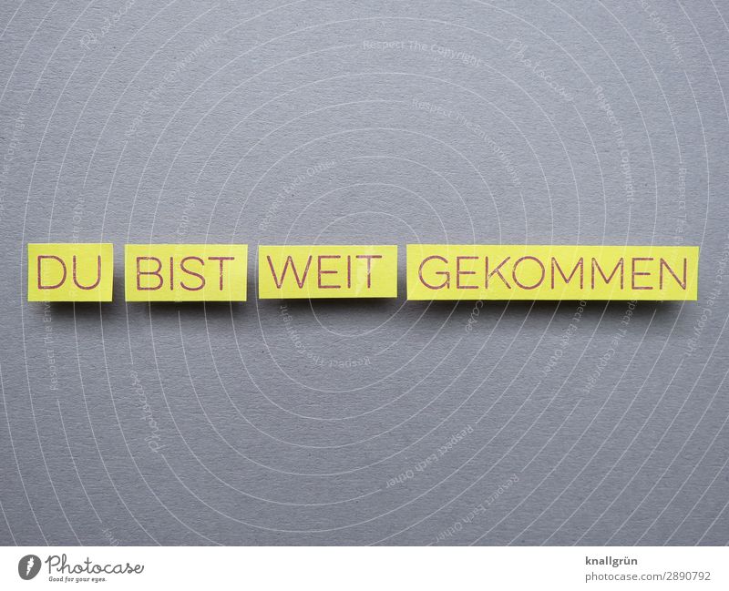 Du bist weit gekommen Karriere Arbeit & Erwerbstätigkeit Erfolg Business Beruf fleißig talentiert loben bewundern Anerkennung Leben Ziel planen berühmt