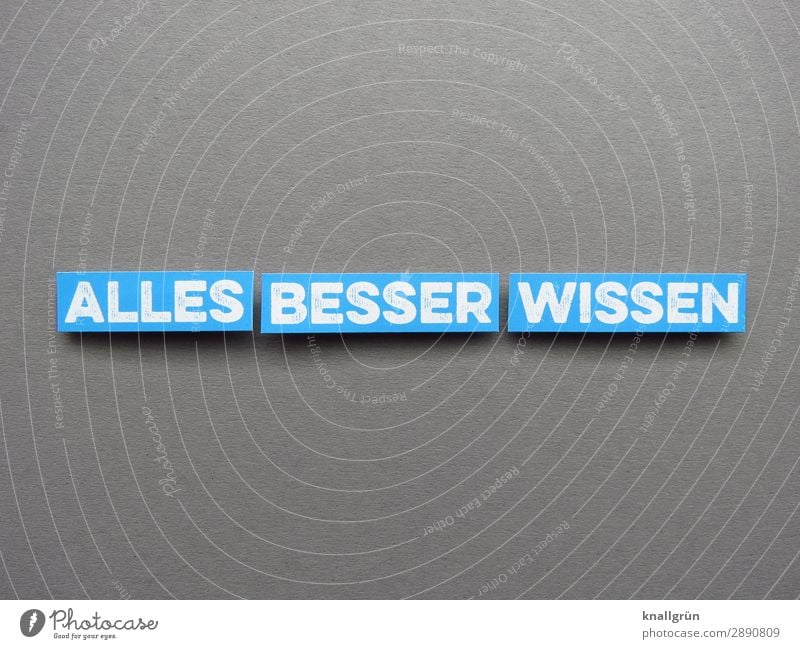 Alles besser wissen Besserwisser intelligent Wissen klug schlau Bildung lernen lesen Buch Schule Studium Weisheit Information Literatur Bibliothek Interesse