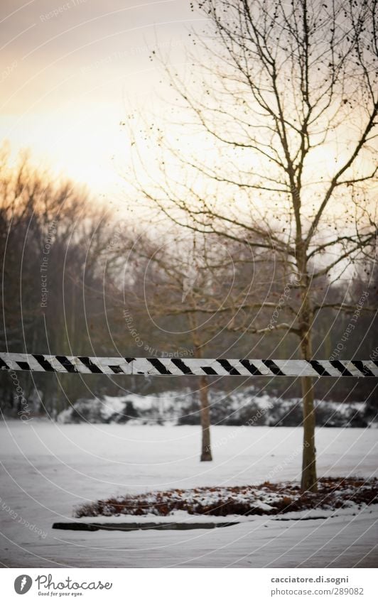 stop Landschaft Sonnenaufgang Sonnenuntergang Winter Schnee Baum Menschenleer Parkplatz Linie einfach kalt trist Stadt Wachsamkeit sparsam Neugier Langeweile