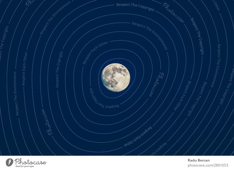 Der Mond erhebt sich am Himmel bei Nacht. voll Hintergrundbild Weltall Astronomie Oberfläche Planet schwarz Wissenschaften Natur Satellit weiß dunkel