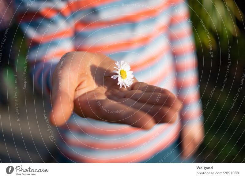 Dankeschön harmonisch Kindergarten Kleinkind Junge Kindheit 3-8 Jahre Liebe frei Freundlichkeit Fröhlichkeit Gesundheit Glück Sympathie Freundschaft Mitgefühl