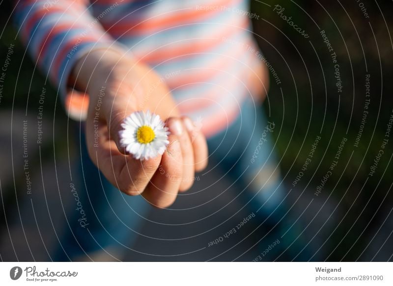 Dankeschön! Leben Meditation Kleinkind Junge Kindheit Lächeln Freundlichkeit Fröhlichkeit friedlich Güte Gastfreundschaft achtsam Wachsamkeit Verlässlichkeit