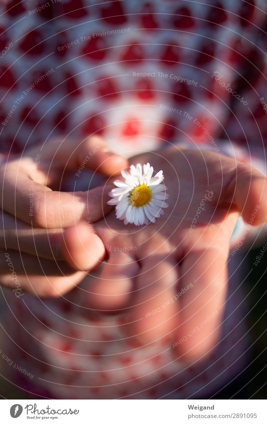 Blumenkind harmonisch Muttertag Geburtstag Taufe Kindererziehung Kindergarten Mädchen Junge Kindheit 1 Mensch 3-8 Jahre Umwelt Natur Pflanze berühren Lächeln