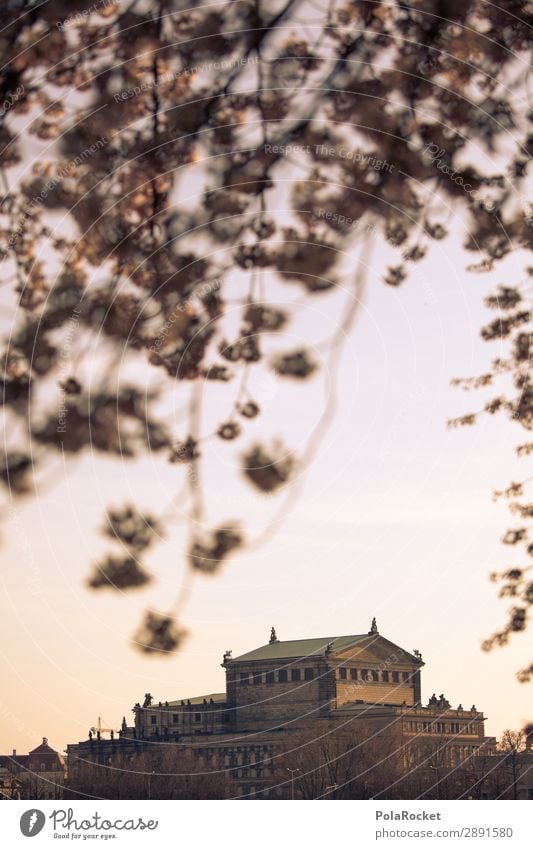 #A# Dresdner Blüte II Kunst ästhetisch Semperoper Dresden Blühend Blühende Landschaften Elbufer Kirschblüten Farbfoto Gedeckte Farben Außenaufnahme