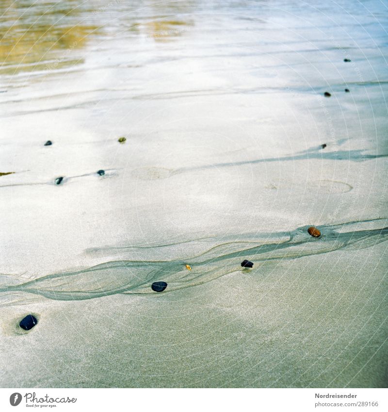 Fluid Leben harmonisch Sinnesorgane Erholung ruhig Meditation Ferne Freiheit Strand Meer Natur Urelemente Sand Wasser Küste Stein wandern nass träumen Fernweh