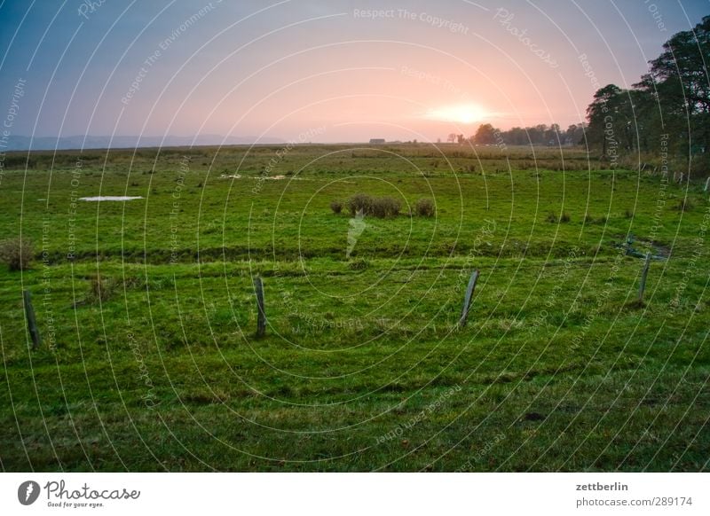 Weide Umwelt Natur Landschaft Pflanze Himmel Horizont Sommer Klima Klimawandel Wetter Schönes Wetter Grünpflanze Wiese Feld Zufriedenheit Lebensfreude