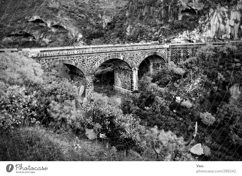 *200* Total ver(b)rückt Landschaft Erde Pflanze Gras Sträucher Hügel Felsen Berge u. Gebirge Schlucht Brücke Brückenpfeiler Bogen Stein Beton alt verbinden