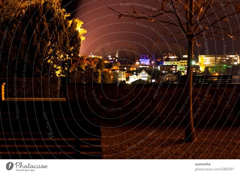 Das Licht der Nacht Umwelt Natur Landschaft Park Kleinstadt Stadt Haus Gebäude leuchten dunkel fantastisch hell kalt Surrealismus träumen Nachthimmel