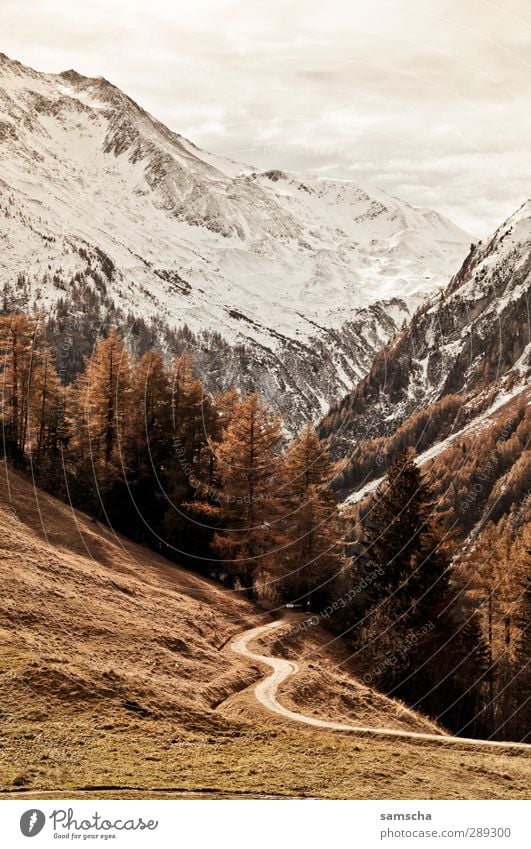 Hinten im Tal Schnee wandern Umwelt Natur Landschaft Urelemente Wolken Klima Klimawandel Wetter Baum Wiese Wald Hügel Felsen Alpen Berge u. Gebirge Gipfel