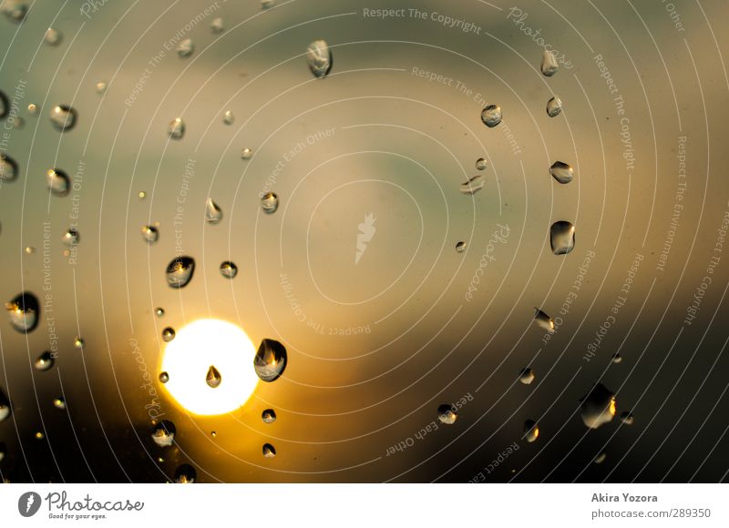 Rain is gone Regen Regenwasser Wassertropfen Sonnenuntergang blau schwarz weiß gelb orange Romantik