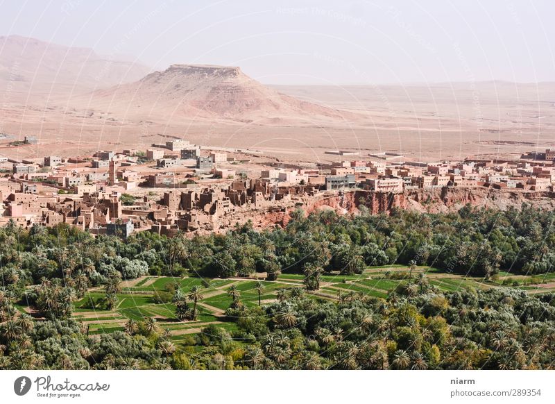 staubige Wüstenstadt II Natur Landschaft Pflanze Erde Sand Sommer Wärme Dürre Hügel Felsen Berge u. Gebirge Oase Haus Hütte alt exotisch Ferne historisch