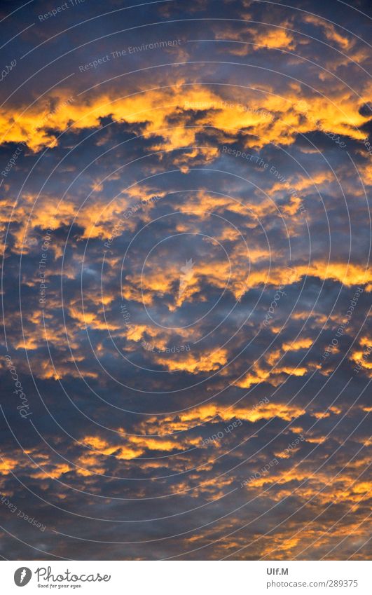 brennende Himmel Umwelt Natur Urelemente Luft nur Himmel Wolken Sonnenaufgang Sonnenuntergang Sommer Wetter Wärme ästhetisch außergewöhnlich fantastisch