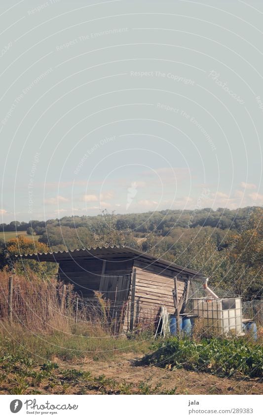 schuppen Umwelt Natur Landschaft Pflanze Himmel Herbst Gras Sträucher Garten Wald Hügel Hütte natürlich Farbfoto Außenaufnahme Menschenleer Textfreiraum oben