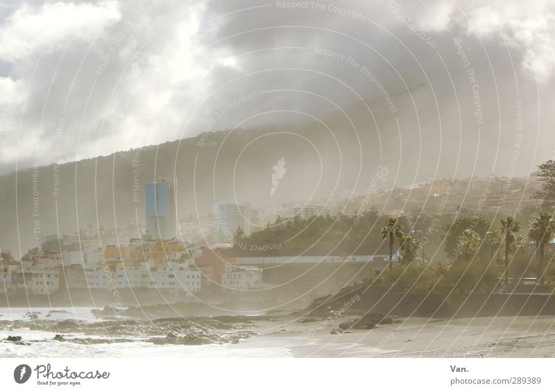 Puerto de la Cruz³ Landschaft Himmel Wolken Nebel Baum exotisch Palme Hügel Felsen Küste Meer Teneriffa Haus Hochhaus weich Dunst Farbfoto Gedeckte Farben