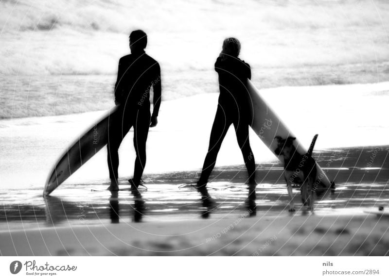 Is it Love? Strand Meer Surfen Surfbrett Hund Infrarotaufnahme Personenzug Wellen Brandung Aussicht Sport Schwarzweißfoto b/w bw Wasser beobachten