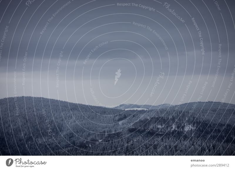 weiche kalte Hügel Umwelt Natur Landschaft Himmel Wolken Winter Klima Klimawandel Wetter schlechtes Wetter Unwetter Wind Eis Frost Schnee Schneefall Wald