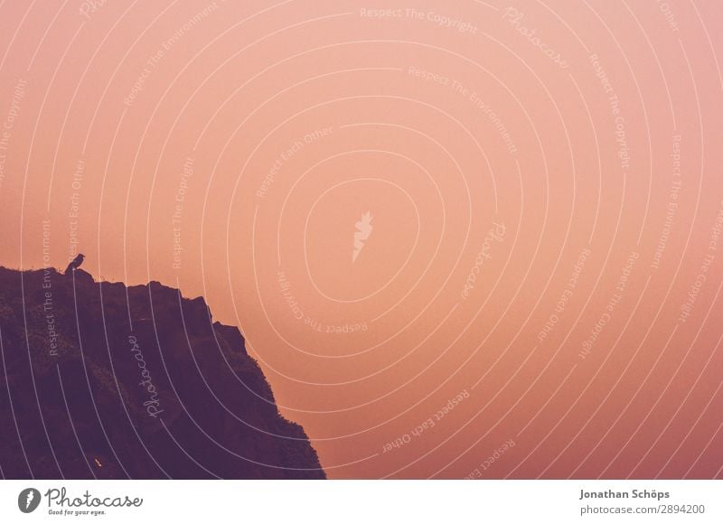 Vogel am Arthur's Seat in Edinburgh im Nebel Ferien & Urlaub & Reisen Tourismus Freiheit Wärme Endzeitstimmung Großbritannien Schottland Urlaubsort Apokalypse